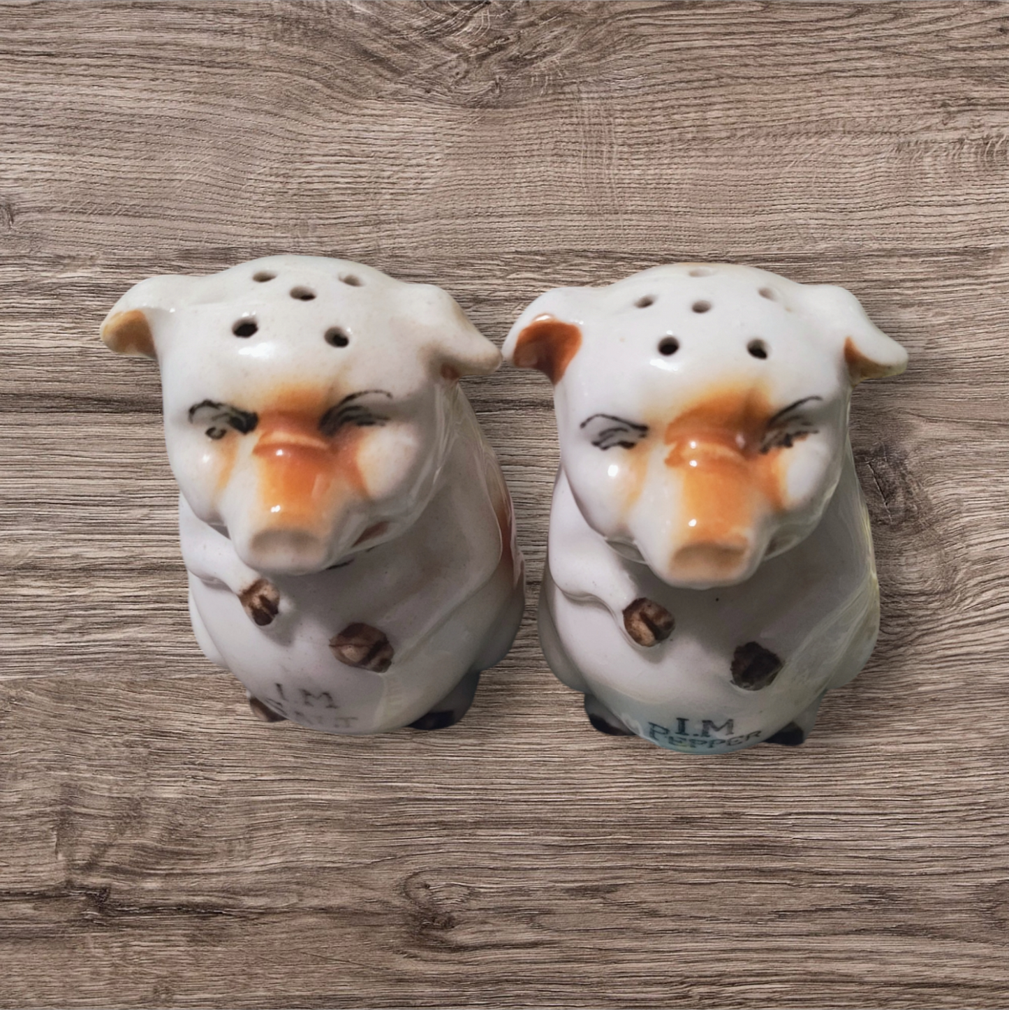 Vintage Pig  Salt & Pepper Shakers* Made In Japan