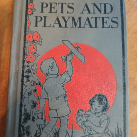 Pets & Playmates Book