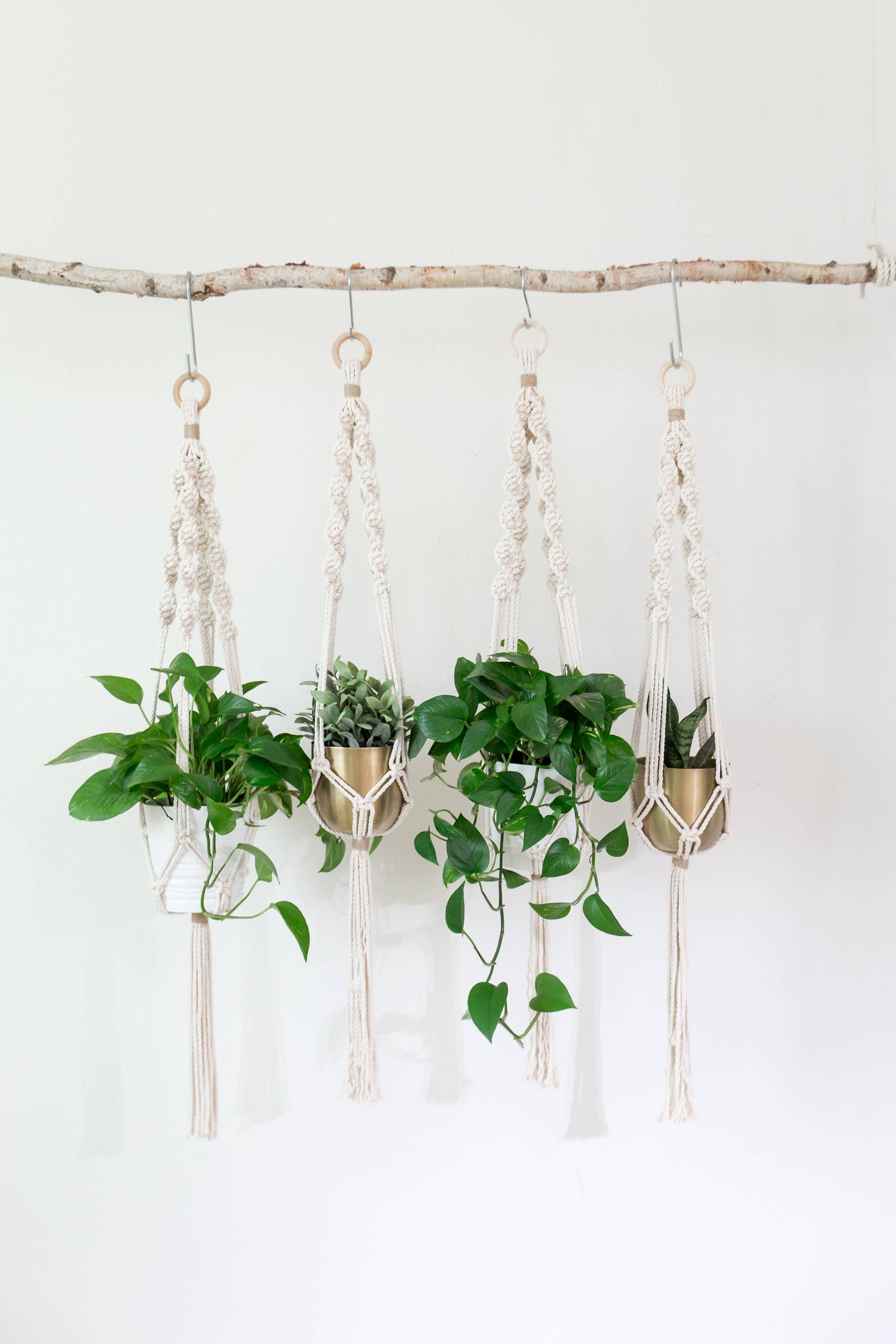 Macrame Plant Hanger, Indoor Planter, Hanging Plants