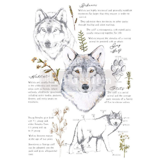 Prima Marketing Redesign Gray Wolf