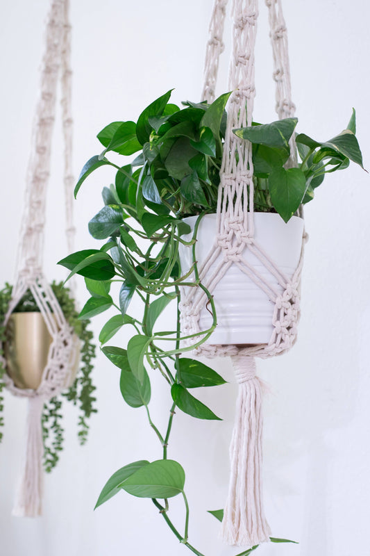 Macrame Plant Hanger, Hanging Plant Stand, Hanging Planter